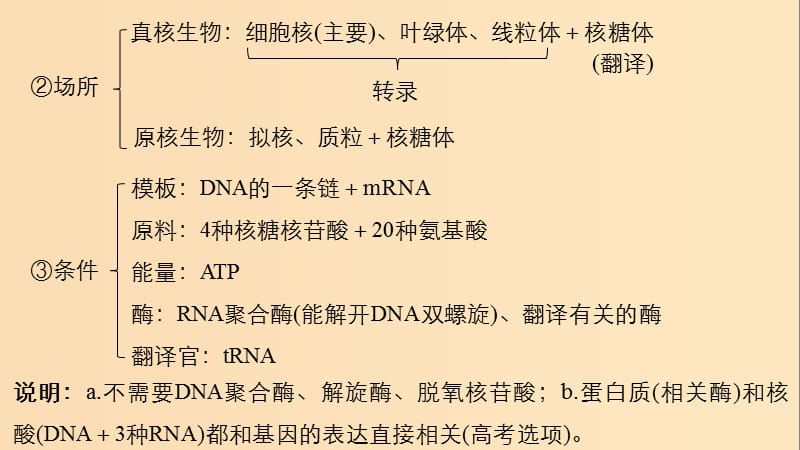 （全国通用版）2019高考生物二轮复习 专题四 遗传的分子基础、变异与进化 梳理核心概念 排查常考基础点课件.ppt_第3页