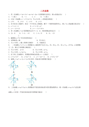 中考數(shù)學專項復(fù)習 二次函數(shù)綜合訓練題.doc