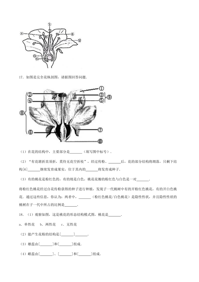 七年级生物上册 第四单元 第一章 第1节 花的结构和类型同步测试题（新版）济南版.doc_第3页