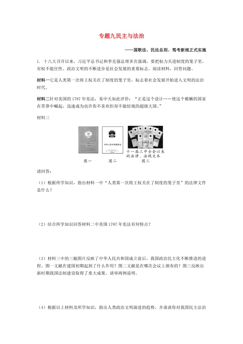 中考历史专题复习 专题九 民主与法治集训题 新人教版.doc_第1页