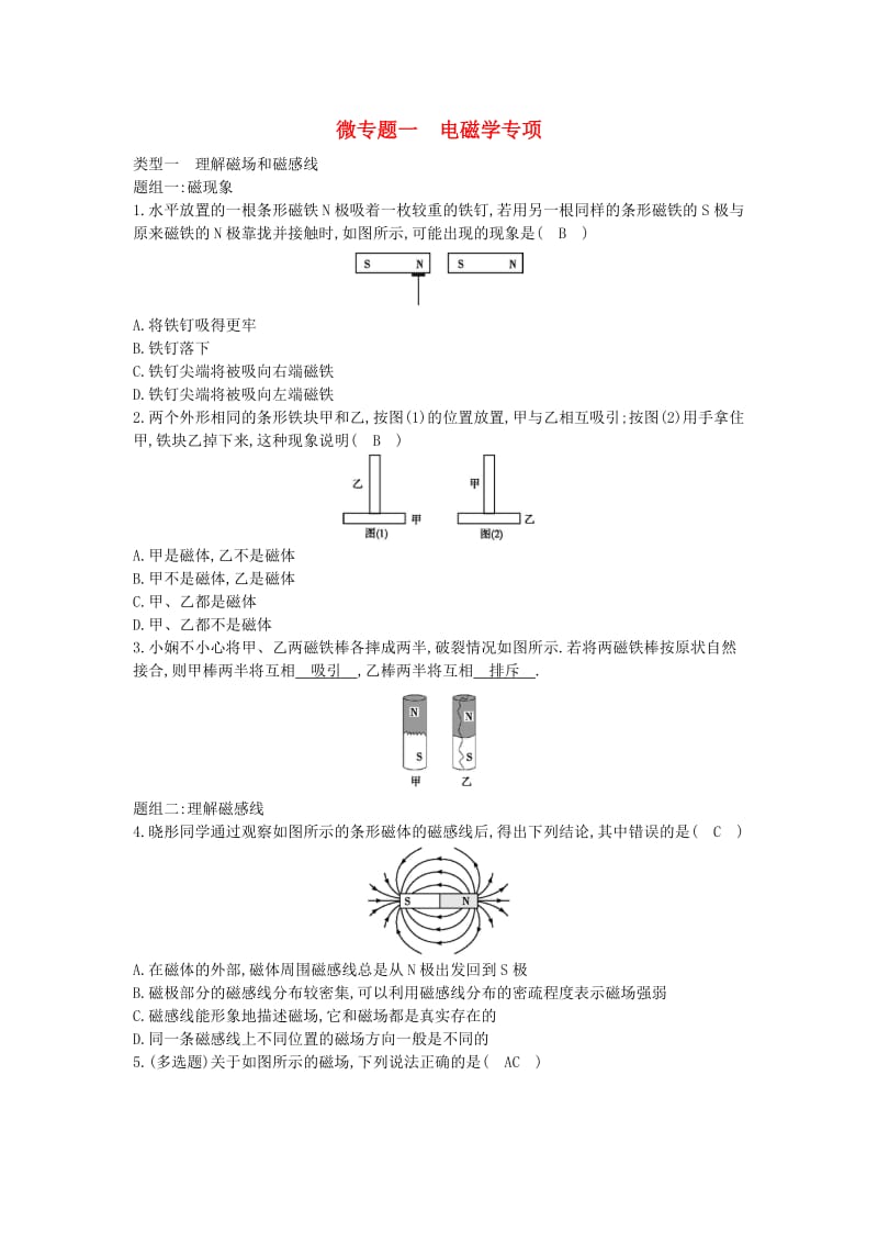 九年级物理下册 微专题一 电磁学专项 （新版）粤教沪版.doc_第1页