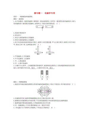 九年級物理下冊 微專題一 電磁學專項 （新版）粵教滬版.doc