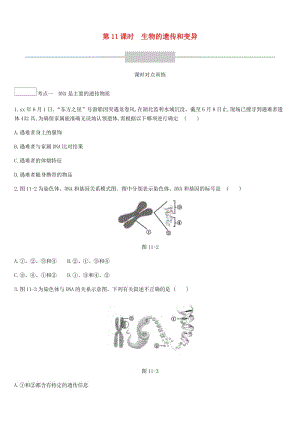 廣東省深圳市2019年中考生物 主題復(fù)習(xí)六 生物的生殖、發(fā)育和遺傳、變異 第11課時 生物的遺傳和變異練習(xí).doc