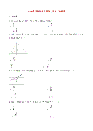 湖南省邵陽市中考數(shù)學(xué)提分訓(xùn)練 銳角三角函數(shù)（含解析）.doc