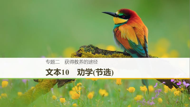 （浙江專用）2018-2019版高中語文 專題二 獲得教養(yǎng)的途徑 文本10 勸學(xué)(節(jié)選)課件 蘇教版必修1.ppt_第1頁