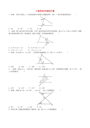 中考數(shù)學(xué)專項(xiàng)復(fù)習(xí) 三角形有關(guān)角的計(jì)算綜合練習(xí).doc