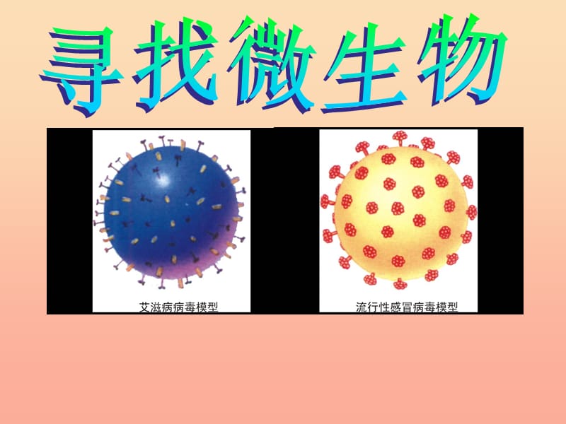 2019春五年级科学下册 5.1《寻找微生物》课件2 大象版.ppt_第1页