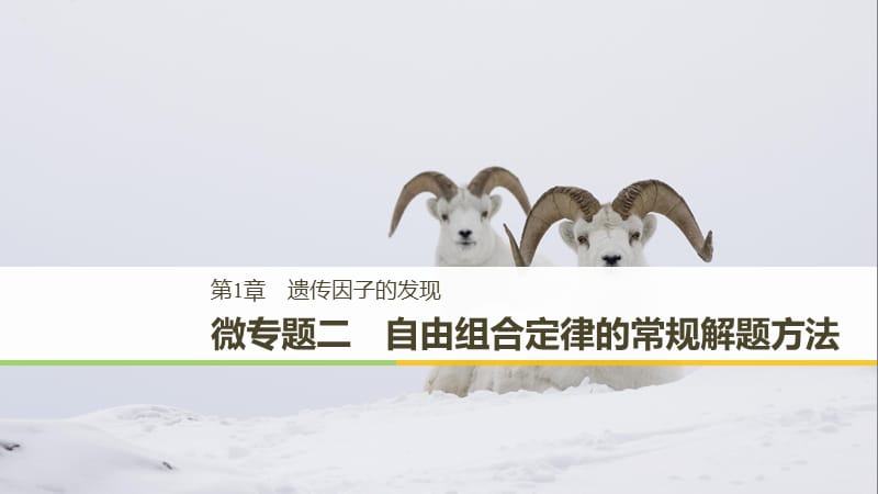 （粵渝冀遼蘇皖閩鄂湘津京魯瓊專用）2018-2019學(xué)年高中生物 第1章 遺傳因子的發(fā)現(xiàn) 微專題二 自由組合定律的常規(guī)解題方法課件 新人教版必修2.ppt_第1頁