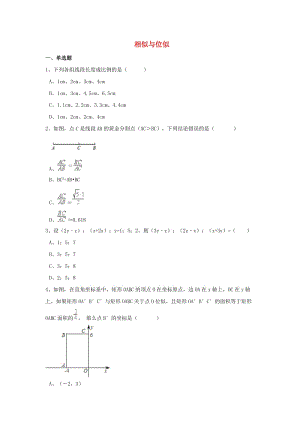 中考數(shù)學(xué)模擬試題匯編 相似與位似（含解析）.doc