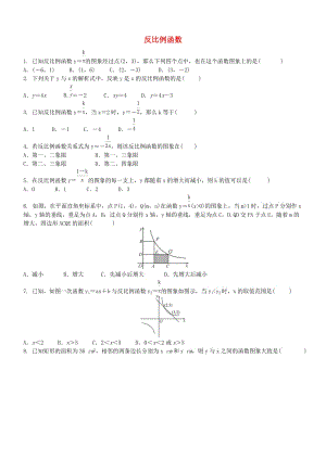 中考數(shù)學(xué)專項(xiàng)復(fù)習(xí) 反比例函數(shù)專項(xiàng)訓(xùn)練題.doc