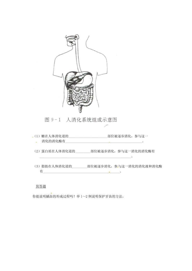 七年级生物下册 9.2人体的消化与吸收同步测试（新版）苏教版.doc_第2页