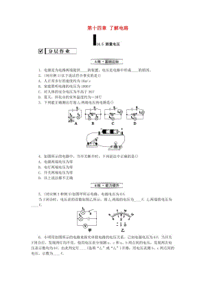 九年級物理全冊 第十四章 了解電路 14.5 測量電壓分層作業(yè) （新版）滬科版.doc