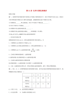 中考化學(xué)第二輪專題復(fù)習(xí) 第31講 化學(xué)計算（經(jīng)典精講）試題.doc