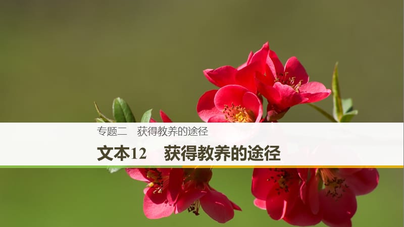 （浙江專用）2018-2019版高中語文 專題二 獲得教養(yǎng)的途徑 文本12 獲得教養(yǎng)的途徑課件 蘇教版必修1.ppt_第1頁