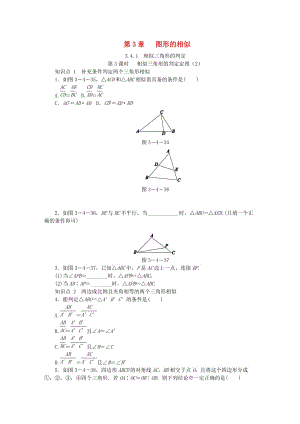 九年級(jí)數(shù)學(xué)上冊(cè) 第3章 圖形的相似 3.4.1 相似三角形的判定 第3課時(shí) 相似三角形的判定定理（2）同步練習(xí) 湘教版.doc