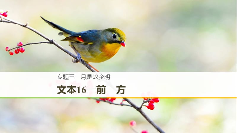 （浙江專用）2018-2019版高中語文 專題三 月是故鄉(xiāng)明 文本16 前方課件 蘇教版必修1.ppt_第1頁