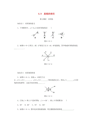 七年級數(shù)學(xué)上冊 第6章 圖形的初步知識 6.9 直線的相交 第1課時 對頂角同步練習(xí) （新版）浙教版.doc