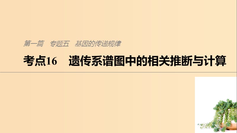 （通用版）2019版高考生物二輪復習 專題五 基因的傳遞規(guī)律 考點16 遺傳系譜圖中的相關推斷與計算課件.ppt_第1頁