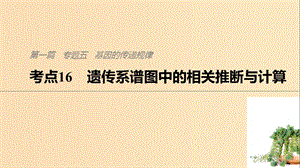 （通用版）2019版高考生物二輪復(fù)習(xí) 專題五 基因的傳遞規(guī)律 考點(diǎn)16 遺傳系譜圖中的相關(guān)推斷與計(jì)算課件.ppt