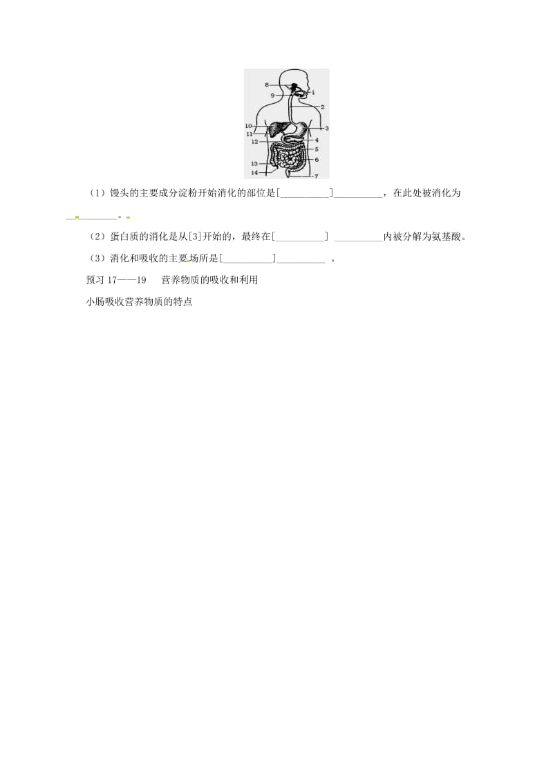 河北省七年级生物下册 2.1.2 食物在胃肠内的消化教案2 冀教版.doc_第3页