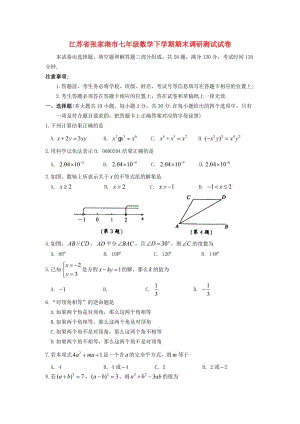 江蘇省張家港市七年級數(shù)學(xué)下學(xué)期期末調(diào)研測試試卷.doc