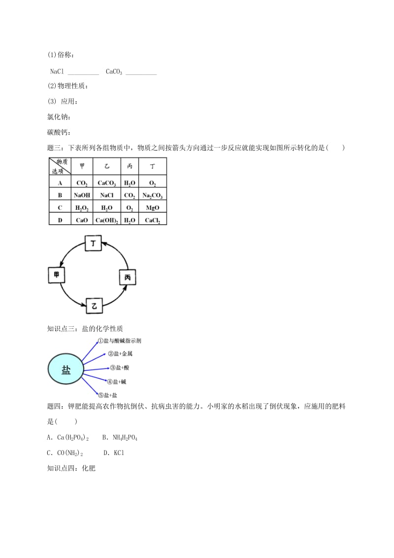 中考化学第二轮专题复习 第23讲 身边的化学物质-盐、化肥（经典精讲）试题.doc_第2页