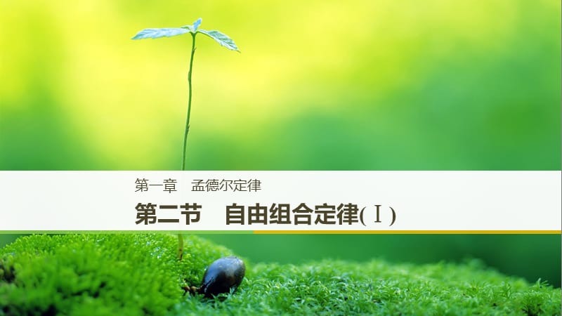 （通用版）2018-2019版高中生物 第一章 孟德爾定律 第二節(jié) 自由組合定律（Ⅰ）課件 浙科版必修2.ppt_第1頁