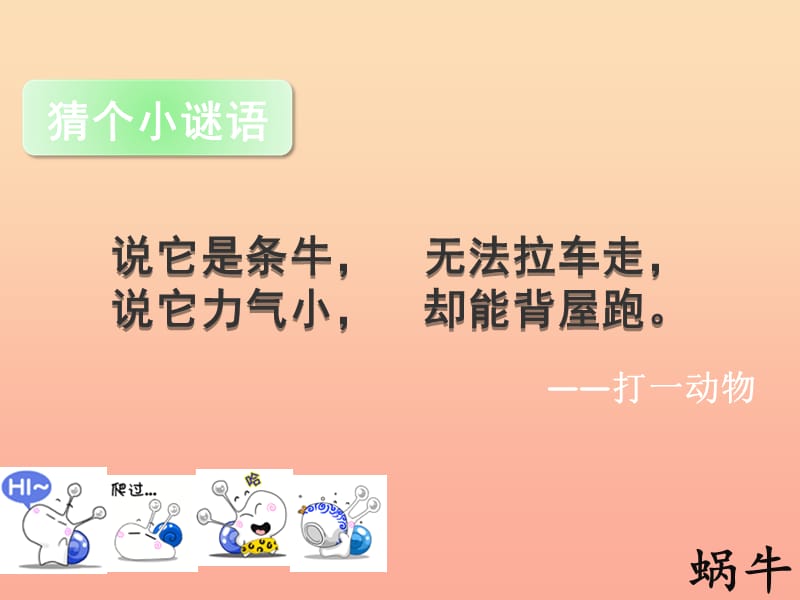 2019年六年级语文上册《蜗牛慢条斯理的生活》课件1 语文A版.ppt_第1页