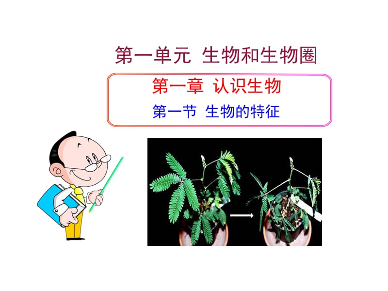 生物新人教版七上第一单元第一章第一节生物的特征课件.ppt_第1页