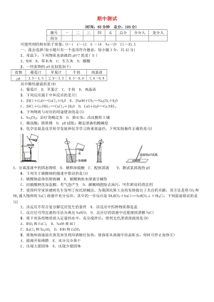 九年級(jí)化學(xué)下冊(cè) 期中測(cè)試 （新版）魯教版.doc