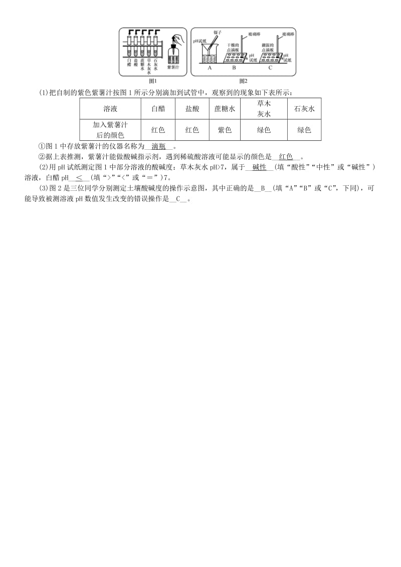 九年级化学下册 第十单元 酸和碱 实验活动7 溶液酸碱性的检验同步测试 （新版）新人教版.doc_第2页