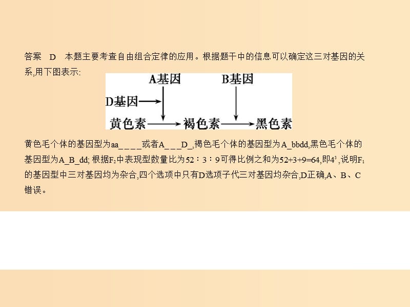 （新课标Ⅱ）2019版高考生物一轮复习 专题12 基因的自由组合定律课件.ppt_第3页