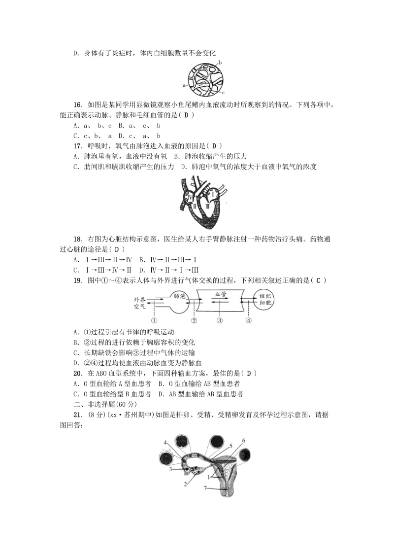 七年级生物下册 期中测试题 （新版）新人教版.doc_第3页