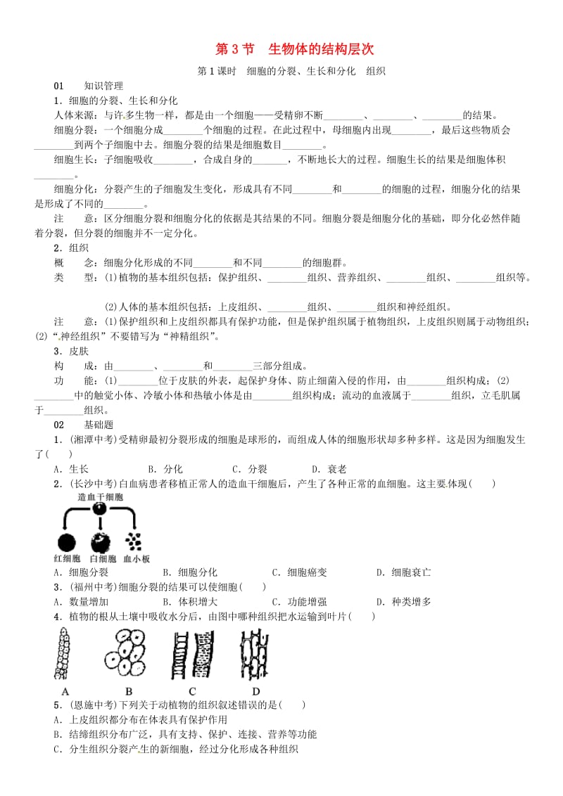 七年级科学上册 第2章 观察生物 第3节 生物体的结构层次 第1课时 细胞的分裂、生长和分化 组织习题 浙教版.doc_第1页