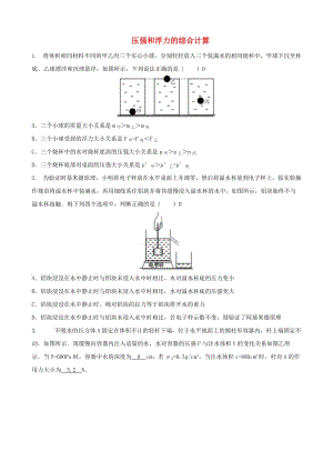 中考物理 壓強(qiáng)和浮力的綜合計(jì)算專(zhuān)題復(fù)習(xí)訓(xùn)練題.doc