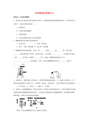 江蘇省高郵市九年級化學上冊 第1章 第1節(jié)《化學給我們帶來什么》同步測試 滬教版.doc