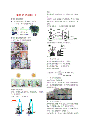 江蘇省大豐市七年級生物上冊 第16講 光合作用（下）講義 蘇教版.doc