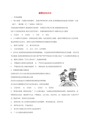 九年級道德與法治上冊 第二單元 民主與法治 第四課 建設法治中國 第2框 凝聚法治共識課時訓練 新人教版 (2).doc