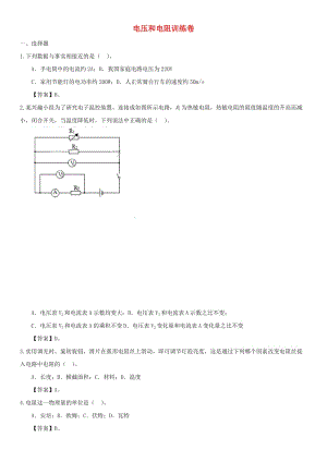 中考物理 沖刺專題強化訓練卷 電壓和電阻.doc