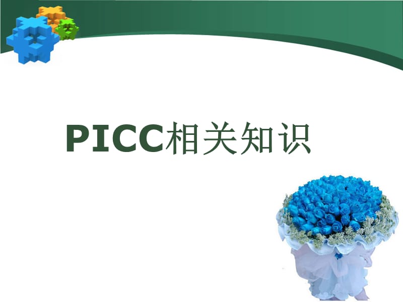 PICC护理问题简述ppt课件_第1页