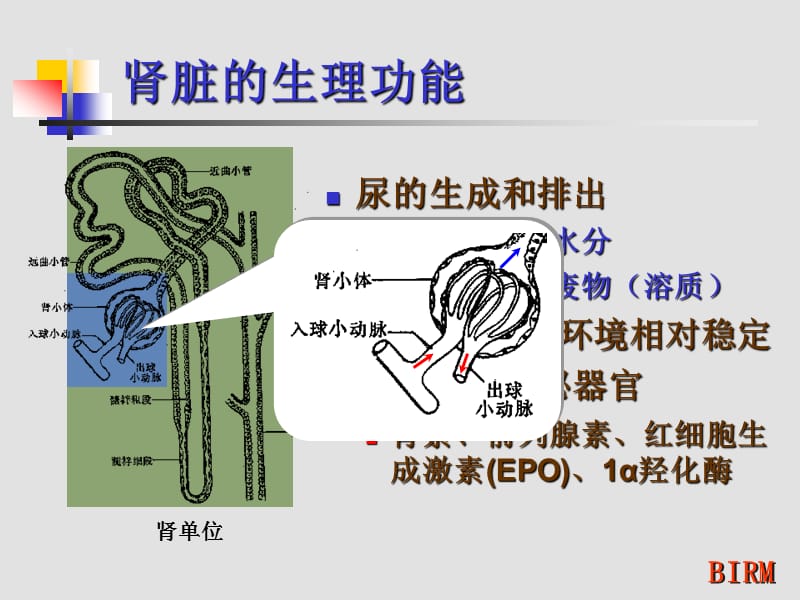 CRRT的基础知识ppt课件_第3页