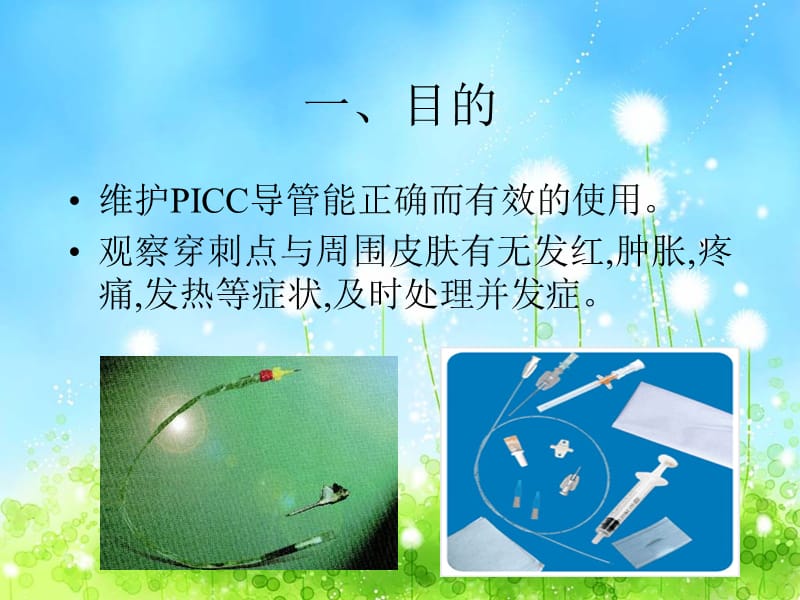 PICC导管护理技术简述ppt课件_第2页