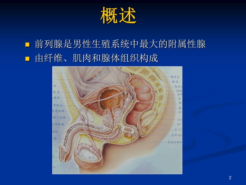 磁共振前列腺癌诊断标准ppt课件_第2页