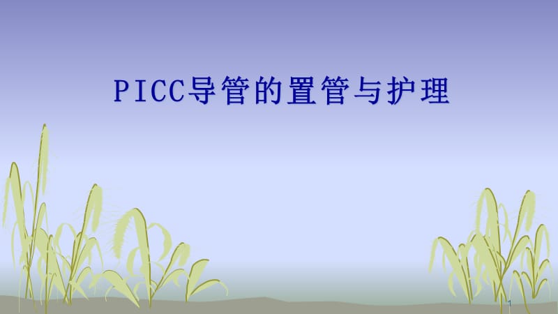 PICC导管的置管与护理ppt课件_第1页