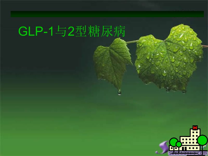 GLP1与2型糖尿病ppt课件_第1页