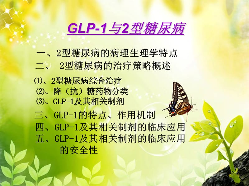 GLP1与2型糖尿病ppt课件_第2页