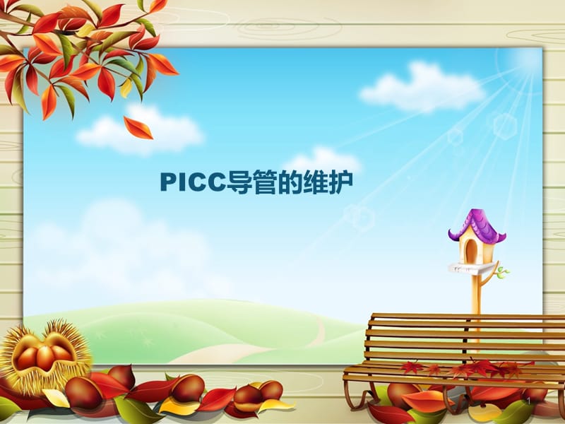 PICC导管的维护ppt课件_第1页