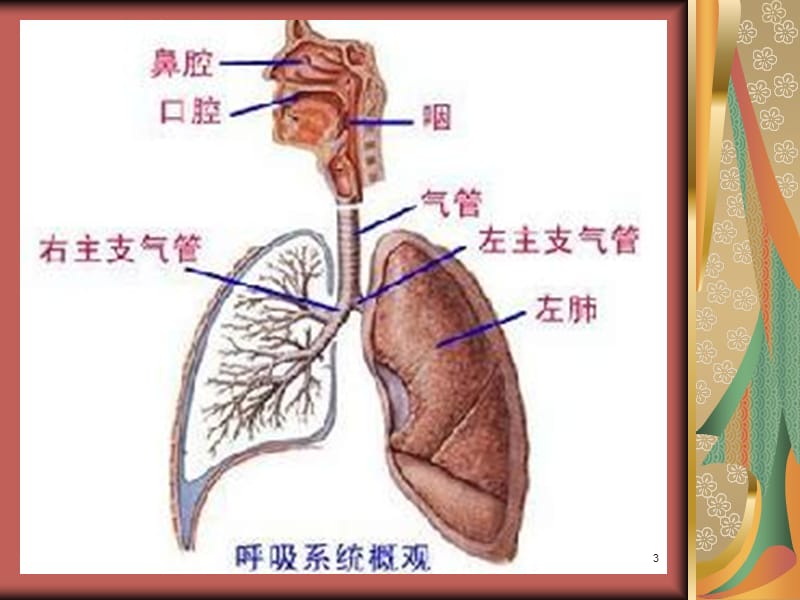 COPD健康教育ppt课件_第3页