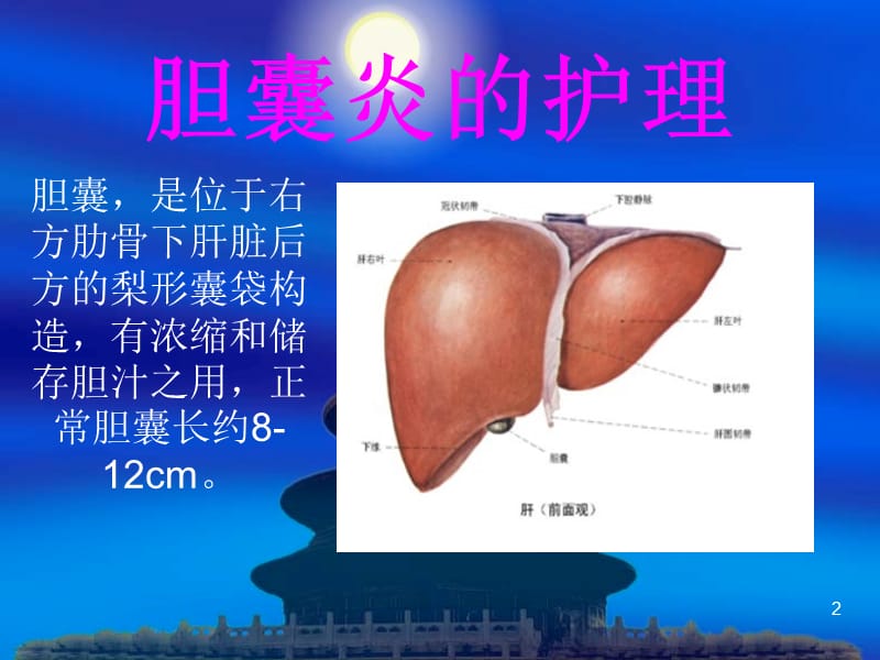 胆囊炎的护理ppt课件_第2页