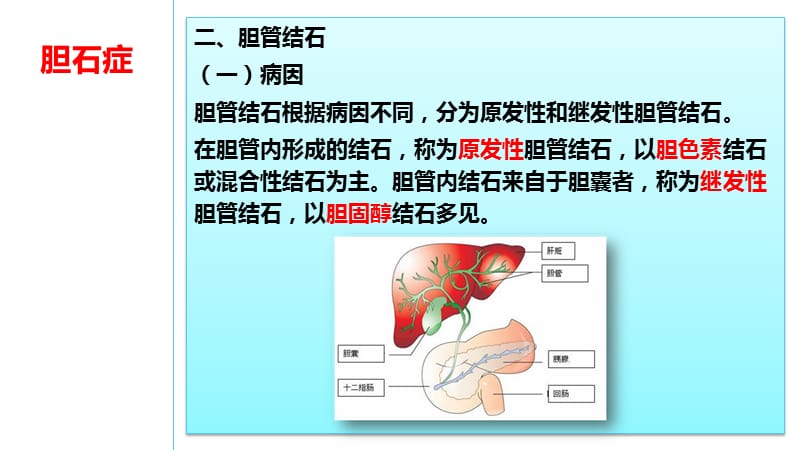 胆石症ppt课件_第3页